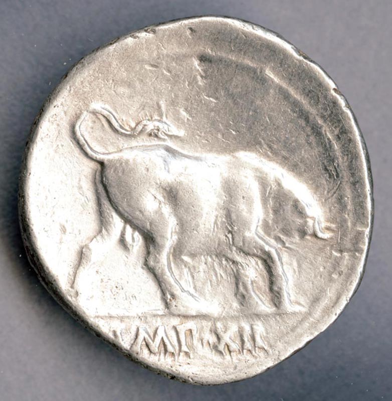 Silver Denarius (Reverse)