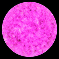 Pink circle
