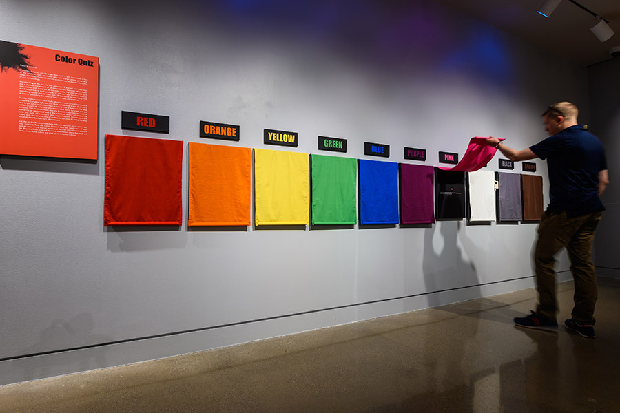 View of gallery installation