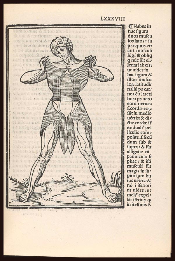 Mondino’s Anatomia