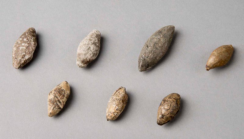 Seven sling shot pellets