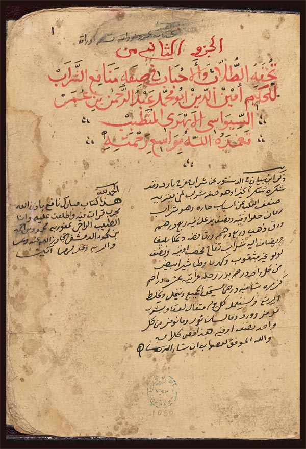 Arabic treatise on potable medicaments