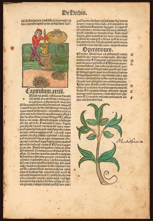 The Garden of Health