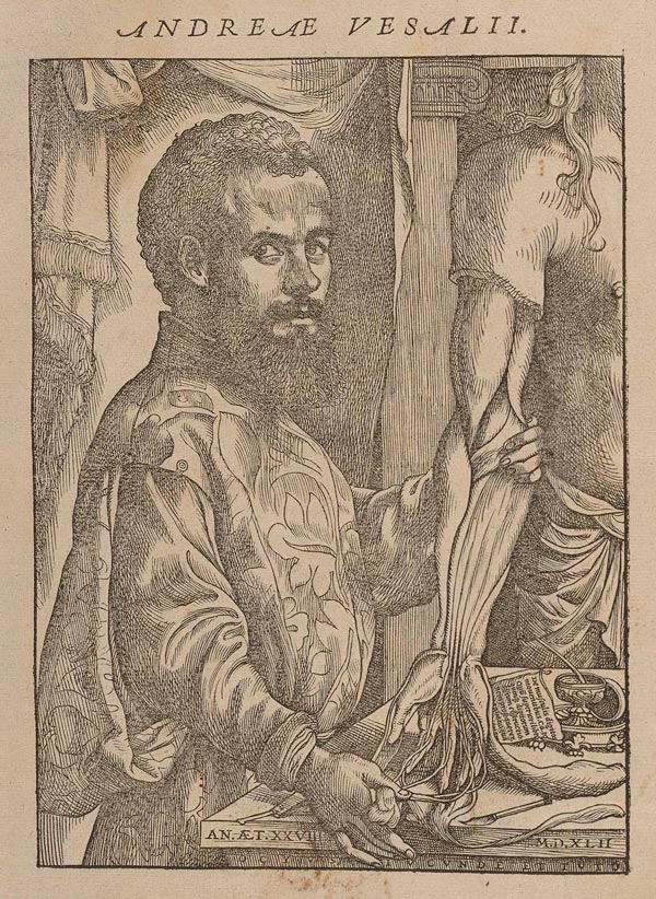 Renaissance Medicine