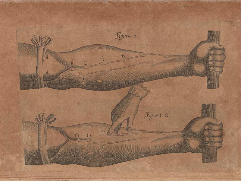 Renaissance Medicine