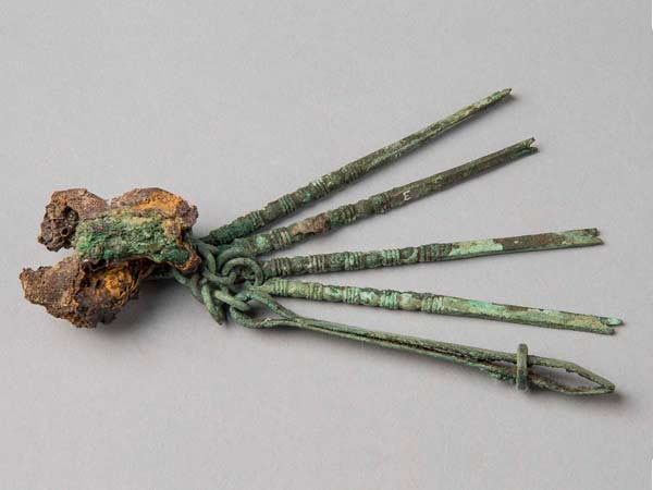 Medical set with forceps and various hooks