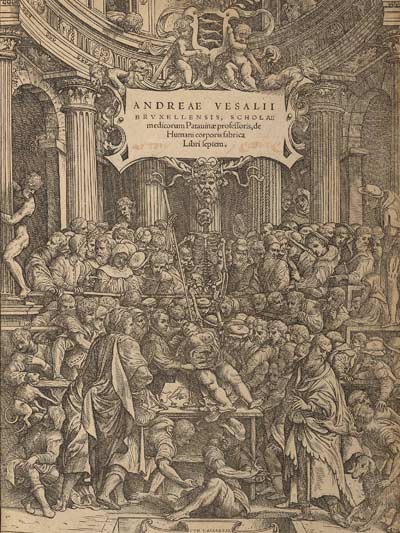 Vesalius' Fabrica