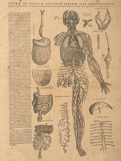 Vesalius' Epitome