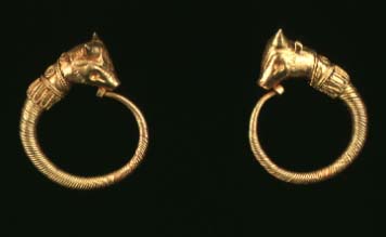 gold earrings