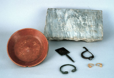 Callityche assemblage