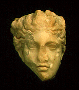 Female head (MNR 319258)