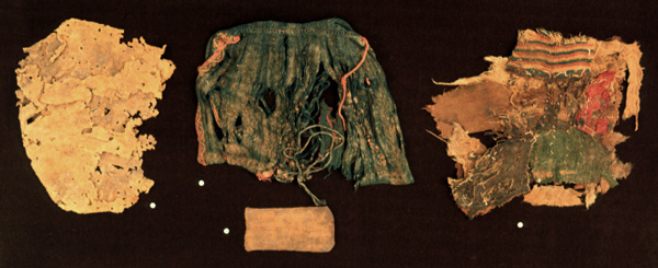 Case 5: A Cap, A Sack, and Two Mysteries