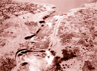 Click to view larger