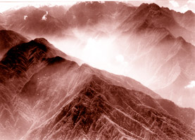 Click to view larger