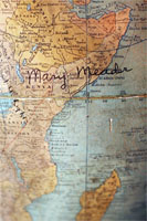 Click to view larger