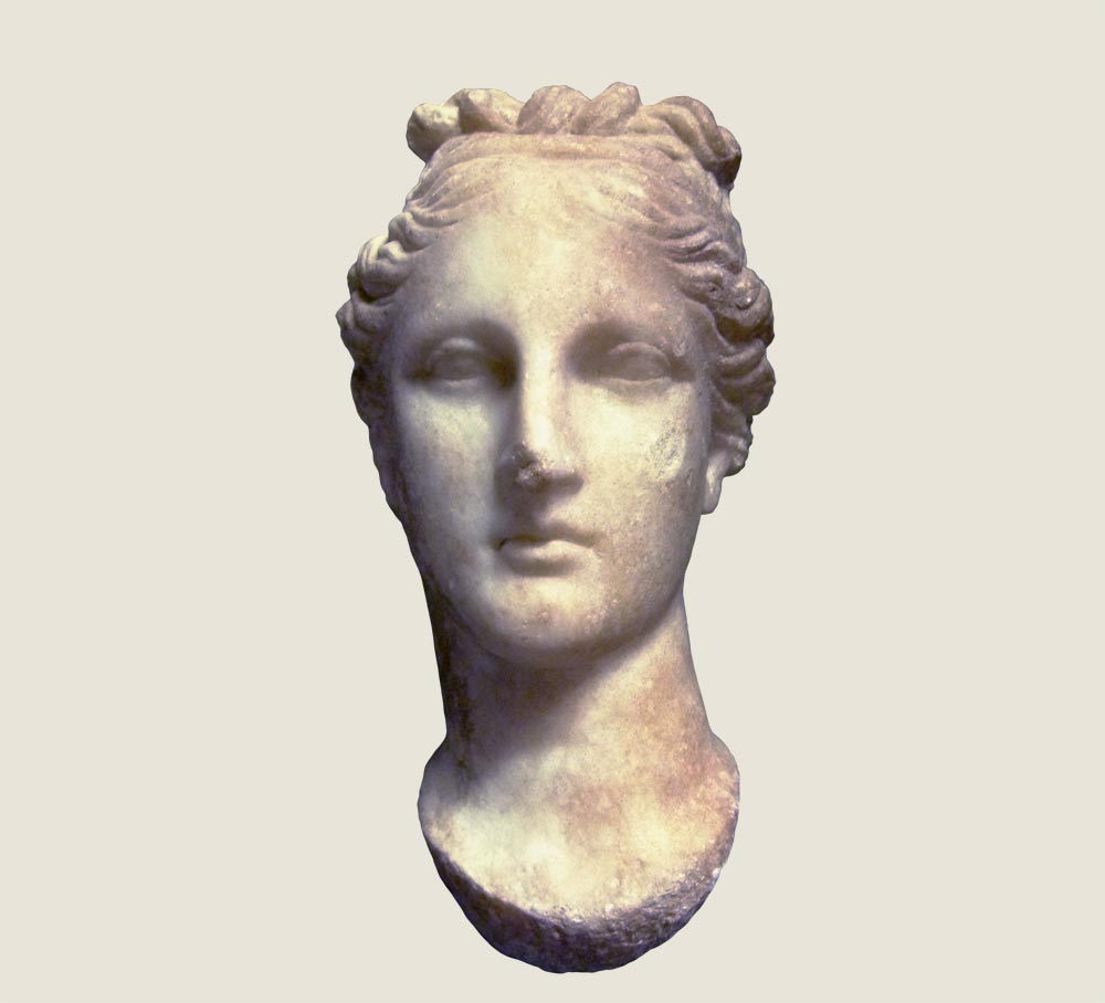 Head of Venus