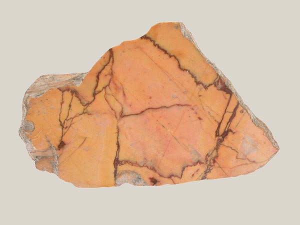 Fragment of floor pavement or wall veneer