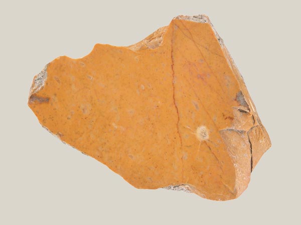 Fragment of floor pavement or wall veneer