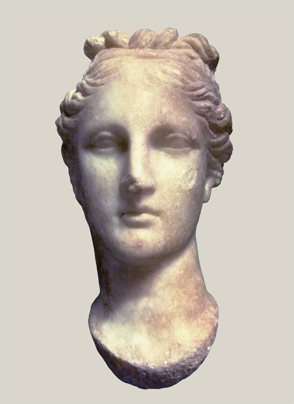 Head of Venus