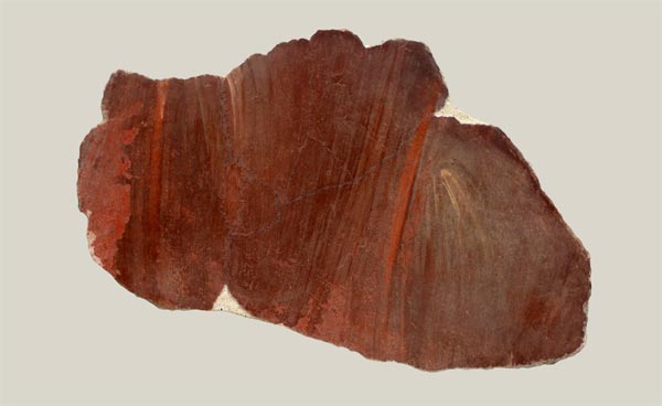 Central sections of three shields