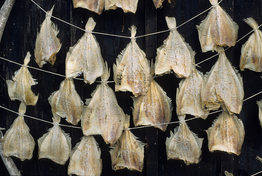 Drying fish