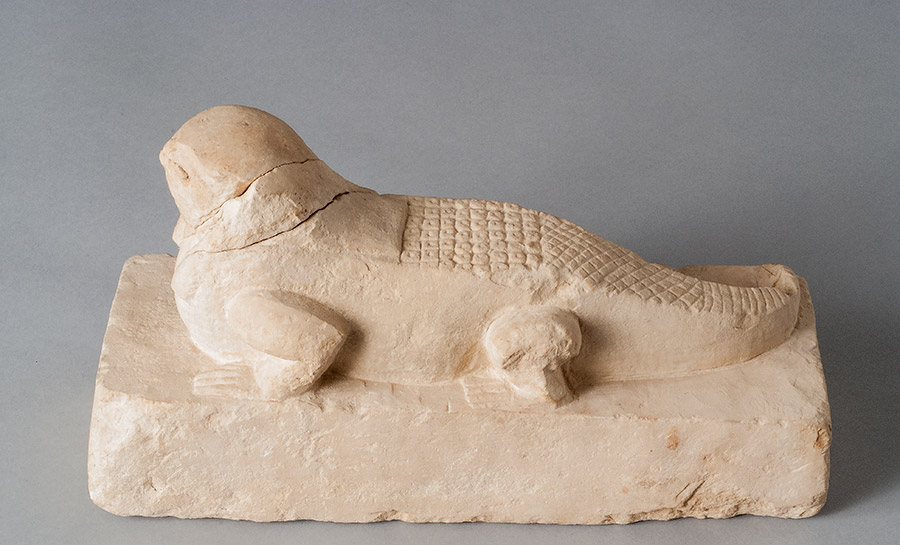 Hawk-headed crocodile