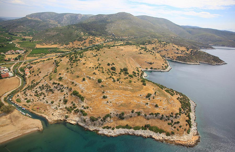 Aerial view of Notion