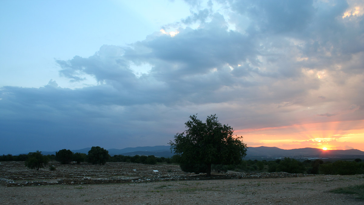 Sunrise over the conserved area of the North Hill